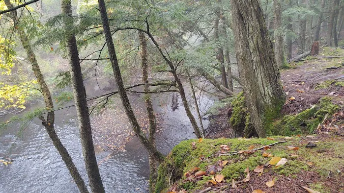 Haymeadow Creek Campsite 2