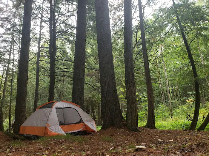 Haymeadow Creek Campsite 5