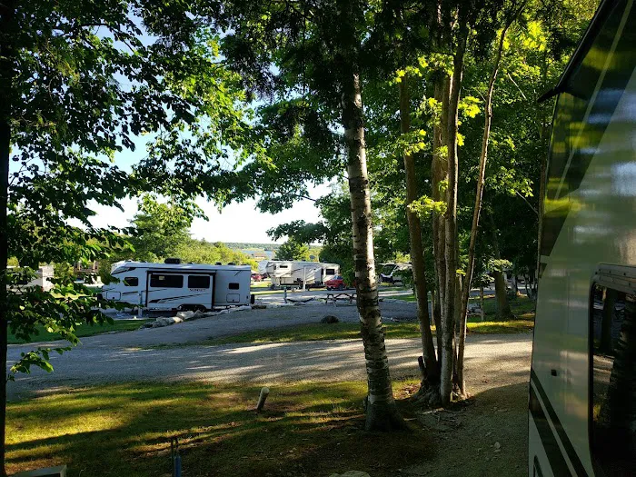 Bay Ridge RV Park 1