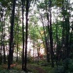 Willow Reservoir Campsite 27