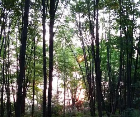 Willow Reservoir Campsite 27