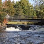 Cedar Falls Campground