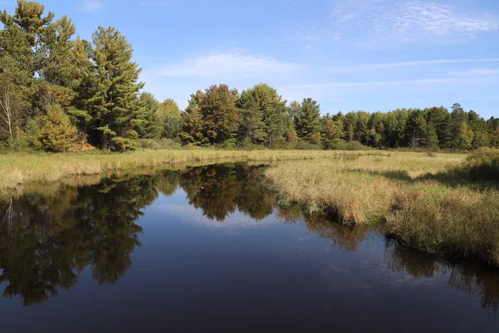 Cedar Falls Campground 9