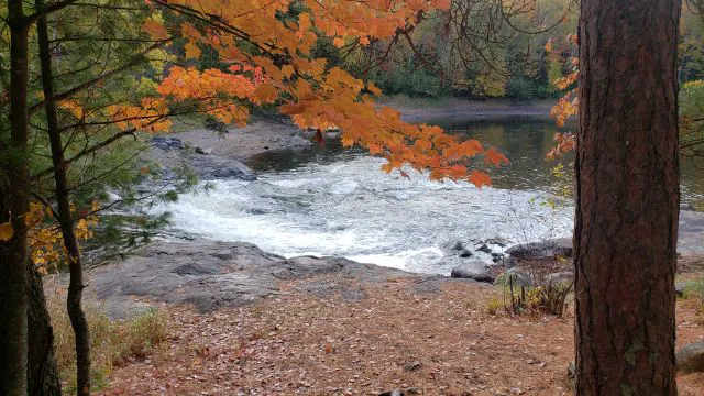 Cedar Falls Campground 7