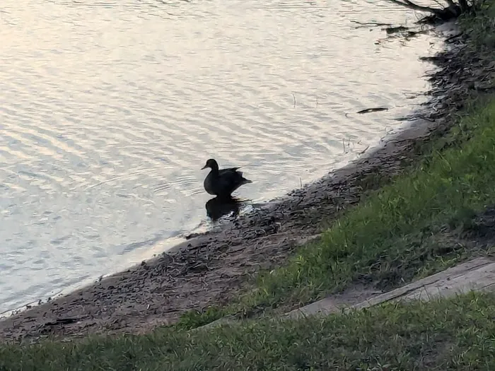 Buffalo Lake Campground 2