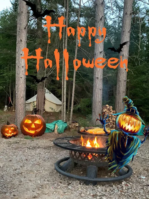 Bach's Wildwood Campground 8