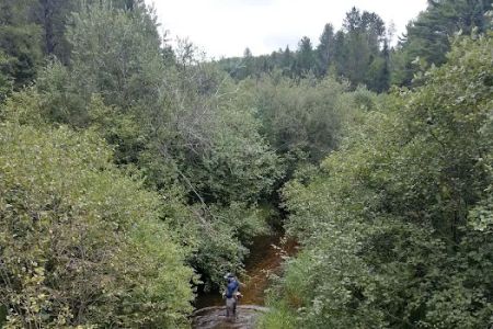 Deerskin River Campsite