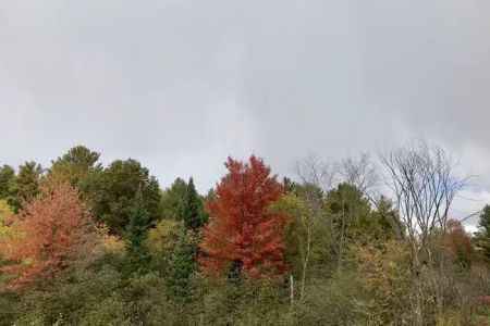 Hawkins Mobile Home Park