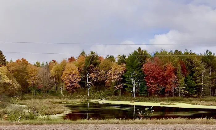 Hawkins Mobile Home Park 7
