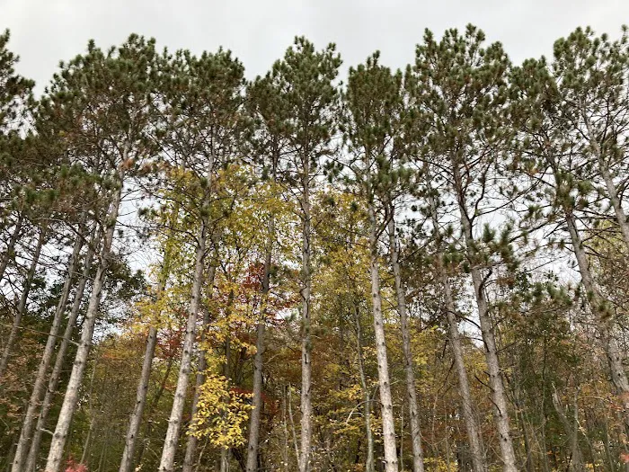 Hawkins Mobile Home Park 8