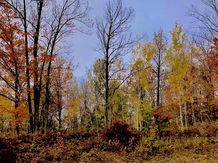 Hawkins Mobile Home Park 9