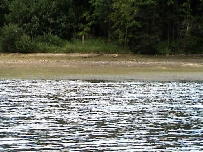 Josie Creek County Park 4