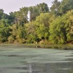 Riverside Mobile Home Park