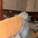 Knollwood Court Mobile Home Park