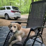 Sakatah Lake Campground