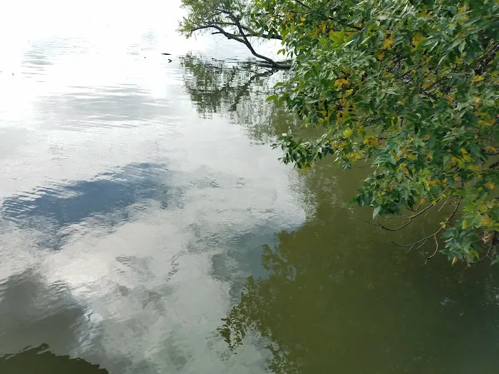 Elysian Shores Campground 5