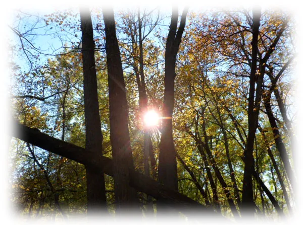 Hidden Meadows RV Park & Campground 3