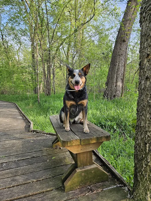 Pershing State Park Campground 7
