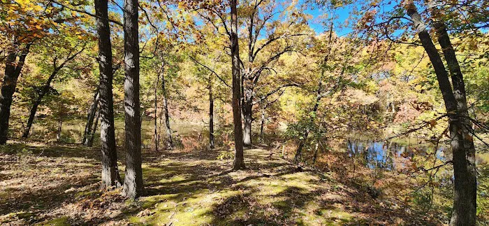 Pershing State Park Campground 2