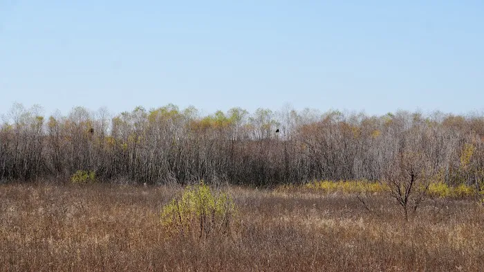 Pershing State Park Campground 6