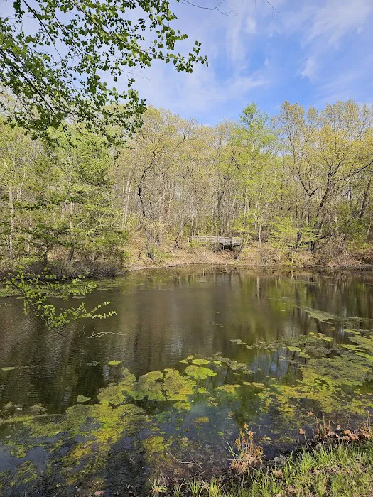 Pershing State Park Campground 10