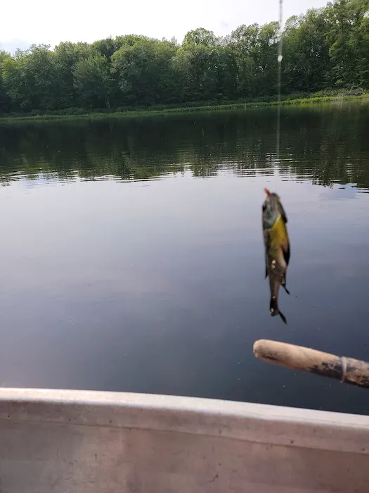 Bluegill Lake Family Camping Resort 3