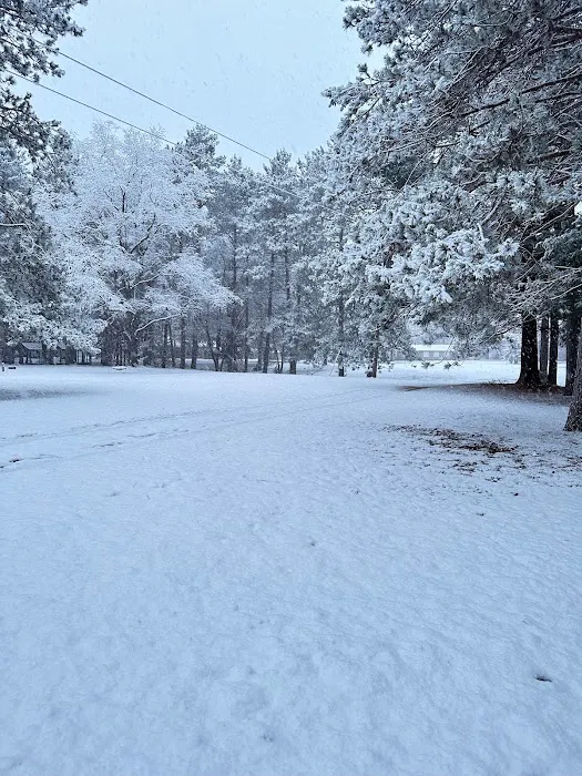 Gray's Riverside Campground 4