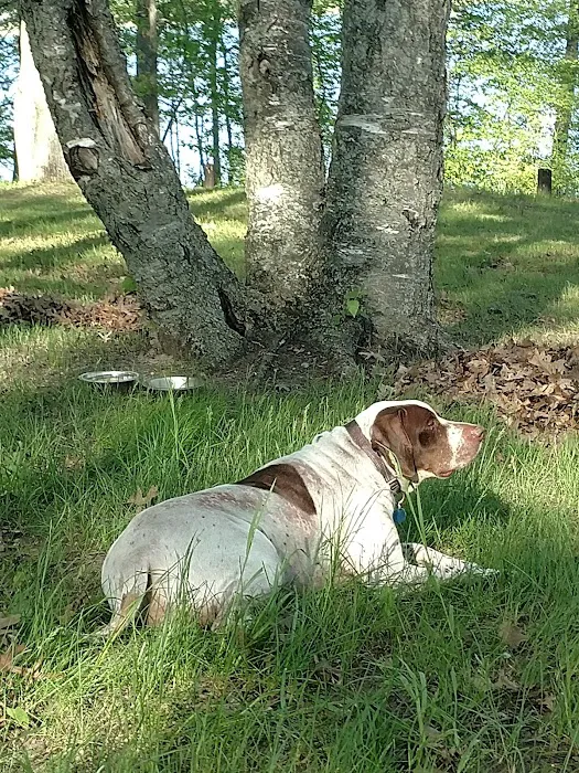 Tubbs Island 10