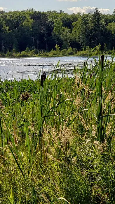 Merrill–Gorrel County Park 10