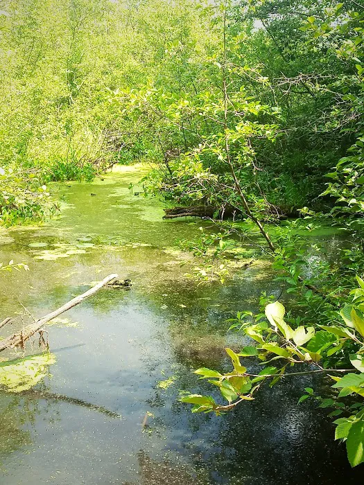Merrill–Gorrel County Park 8