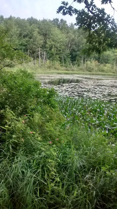 Merrill–Gorrel County Park 9