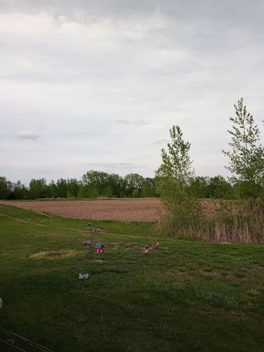 Thomas Crossings 8