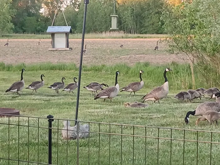 Thomas Crossings 6