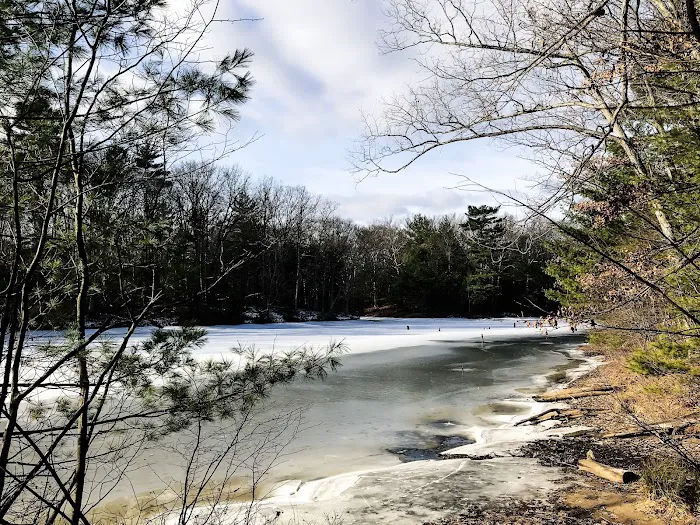 Black Creek State Forest Campground 5