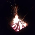 Black Creek State Forest Campground