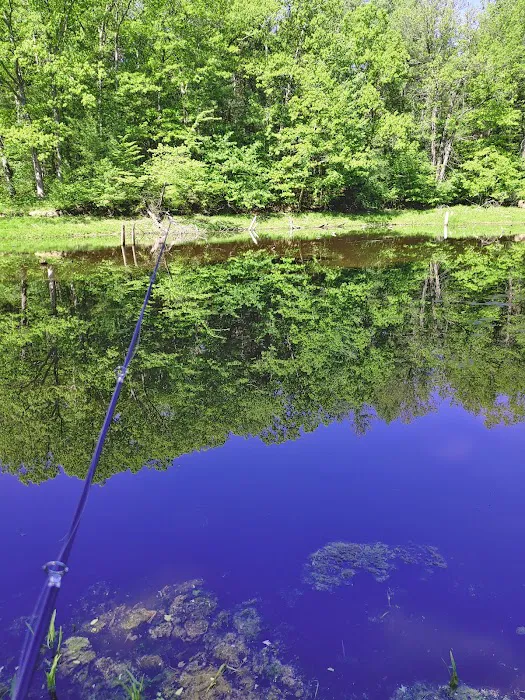 Black Creek State Forest Campground 2