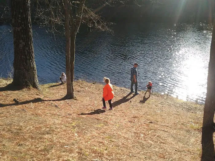 Black Creek State Forest Campground 6