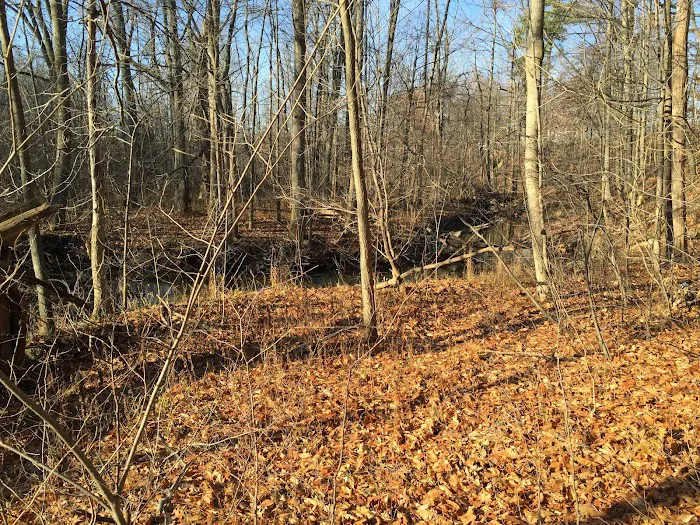 Meadowbrook Manor 10