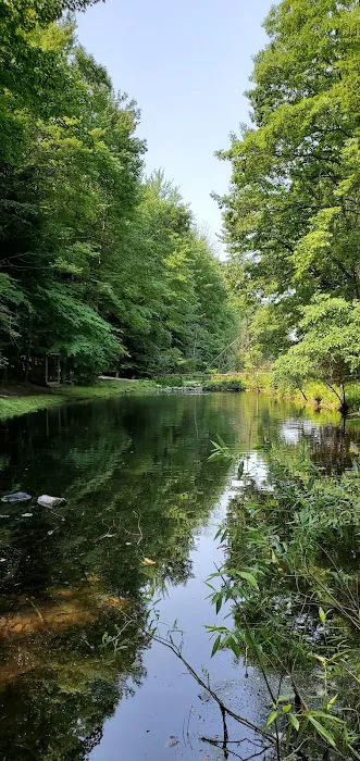 Stony Haven Campground & Cabins 5