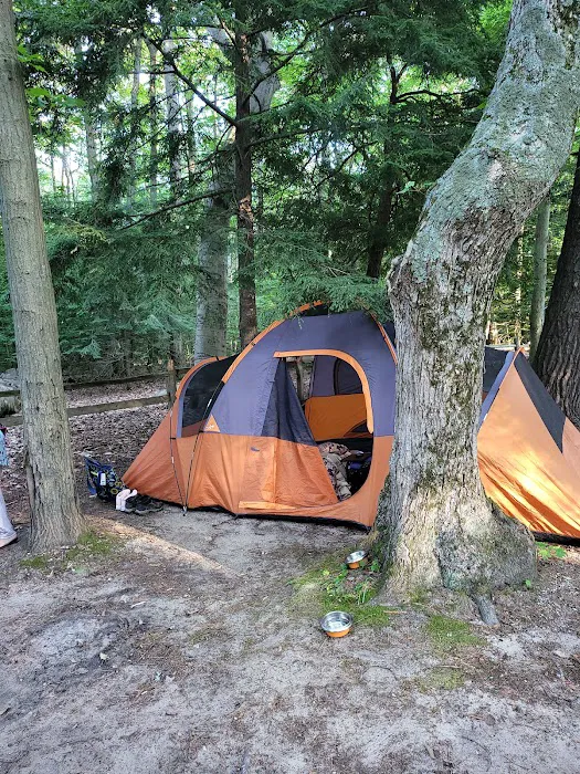 Stony Haven Campground & Cabins 2
