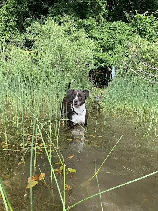 Nichols Lake Campground 4