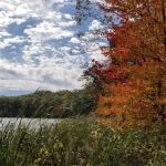 Walkup Lake Campground