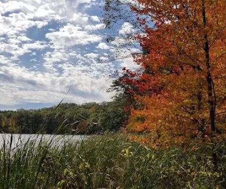 Walkup Lake Campground