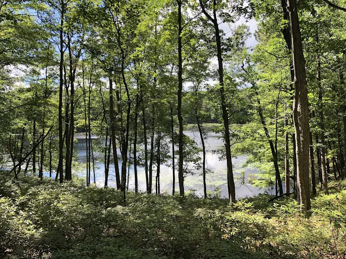 Walkup Lake Campground 10