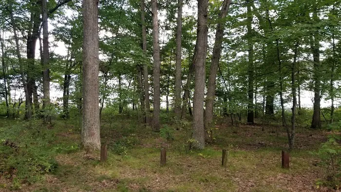 Walkup Lake Campground 4