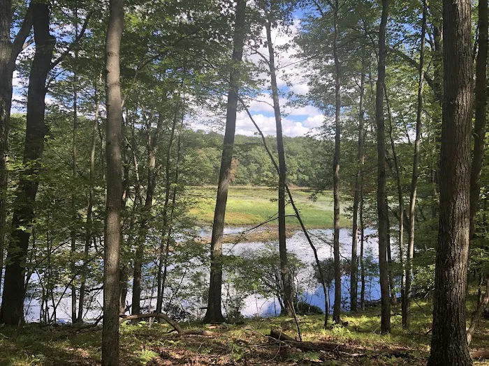 Walkup Lake Campground 8