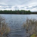 Shelley Lake Campground