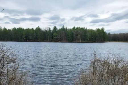 Shelley Lake Campground
