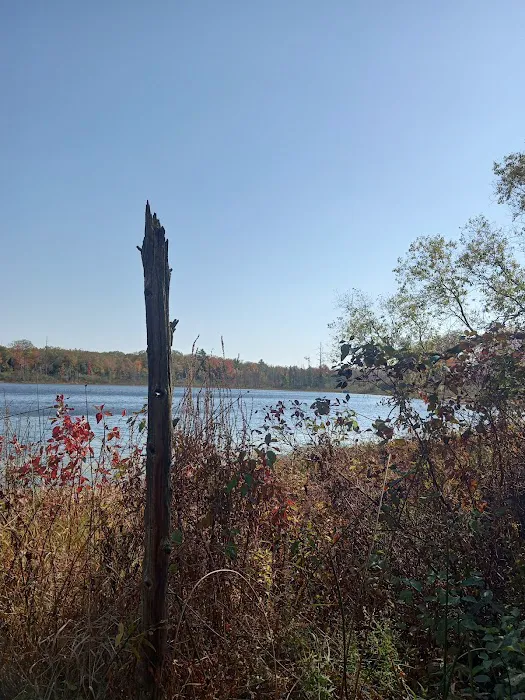 Shelley Lake Campground 4