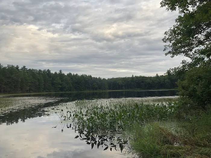 Shelley Lake Campground 9